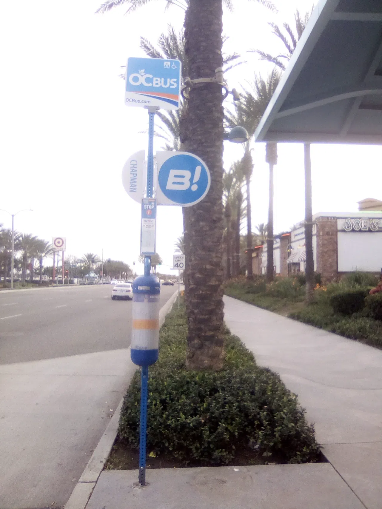 Which Anaheim shuttle you can actually board after ART