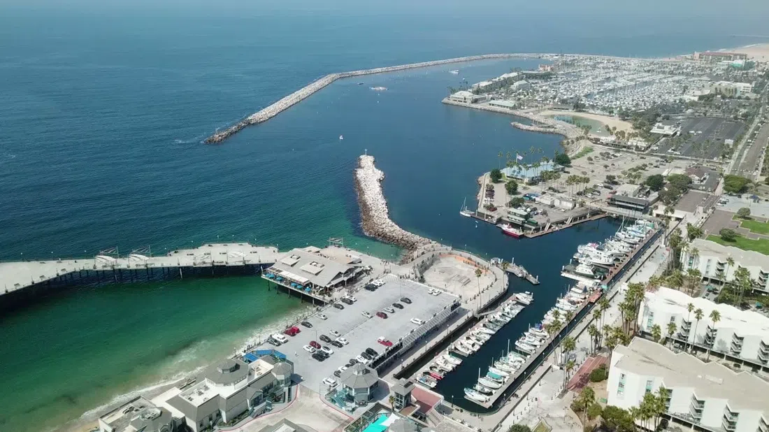 Redondo Beach Whale Watch (the Voyager), Los Angeles