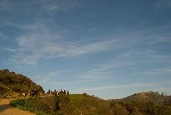 The best horseback riding tours with Hollywood views in Los Angeles