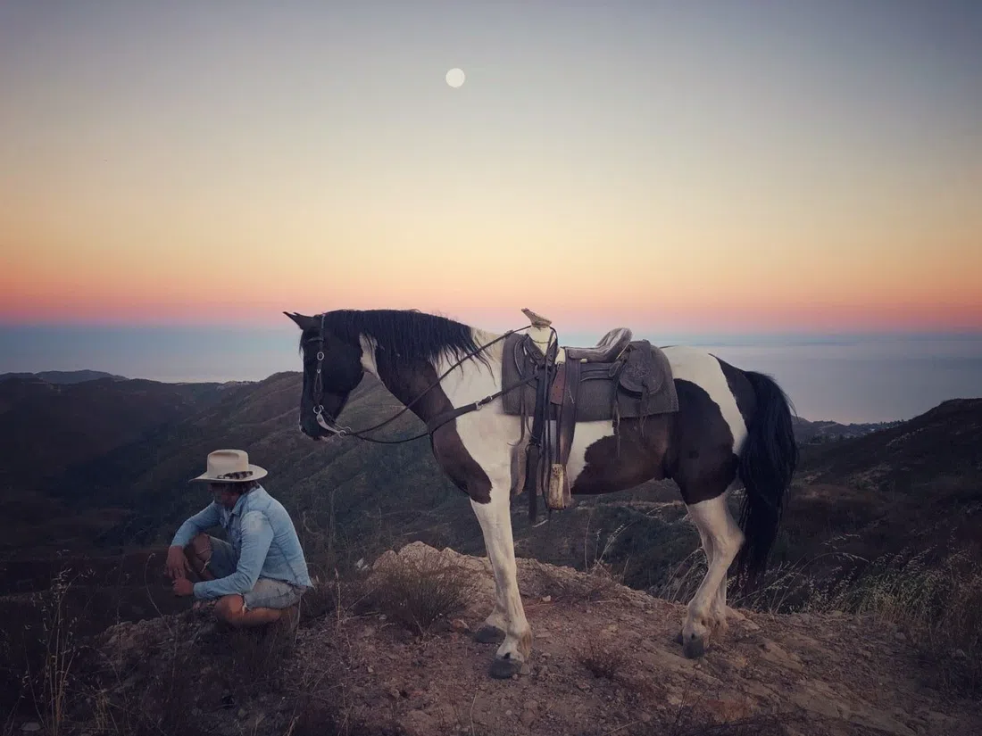 High Horse Malibu, Los Angeles