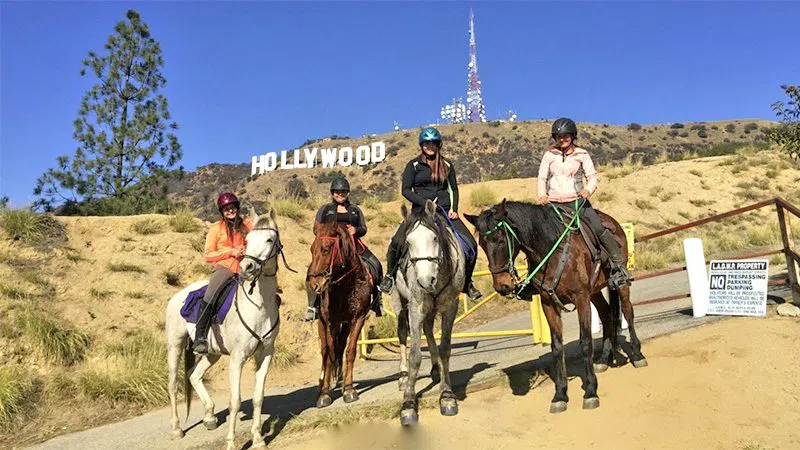 Trail Riding Los Angeles — Griffith Park Cross-Country Ride, Los Angeles